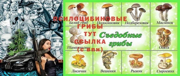 мдпв Богородск