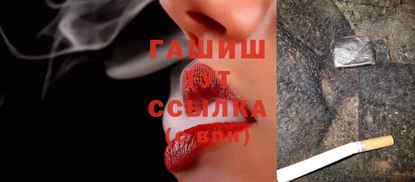 мдпв Богородск