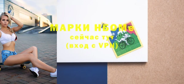 мдпв Богородск