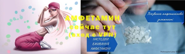 мдпв Богородск