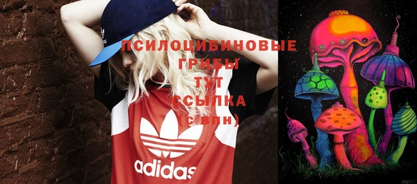 гашик Богородицк